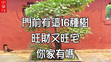 門口桂花風水|門前種樹對風水影響最嚴重，這5種風水大忌不可不知